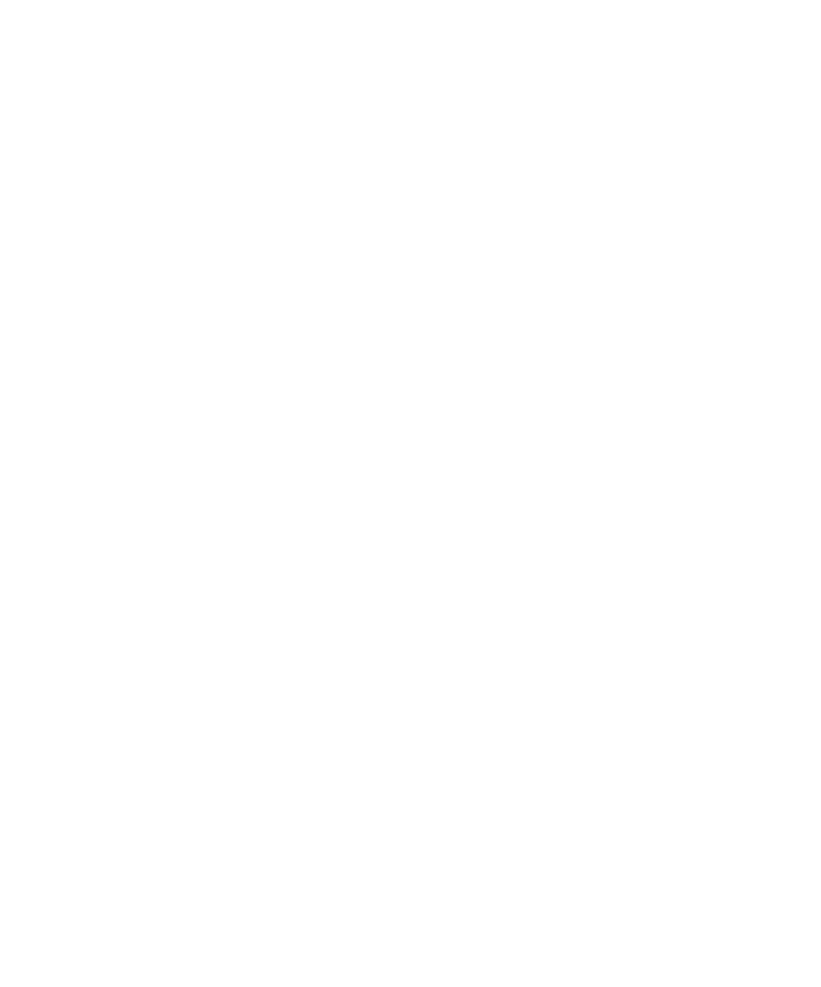 Shaheen & Company